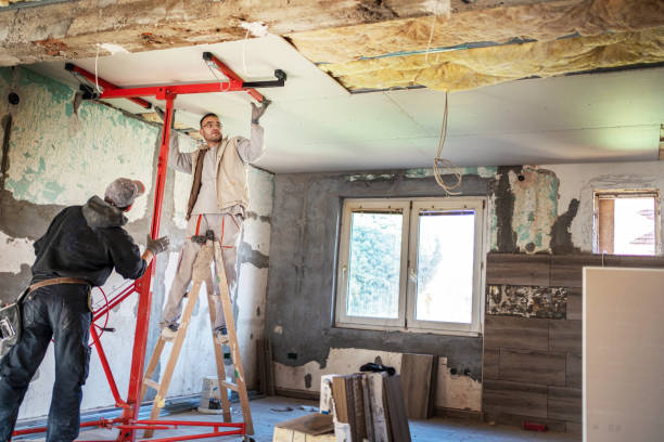 Best Insulation Maintenance and Repair in Catlin, IL