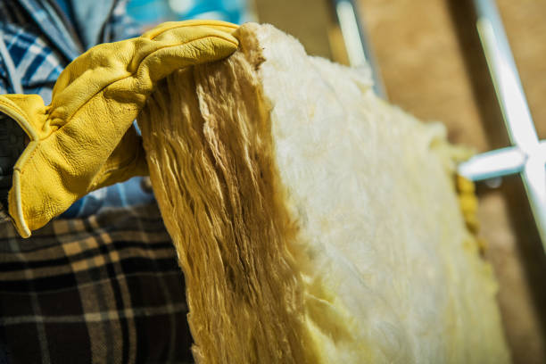 Best Types of Insulation in Catlin, IL