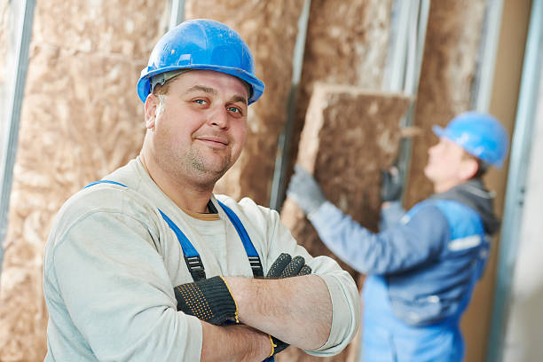 Best Insulation Installation Services in Catlin, IL