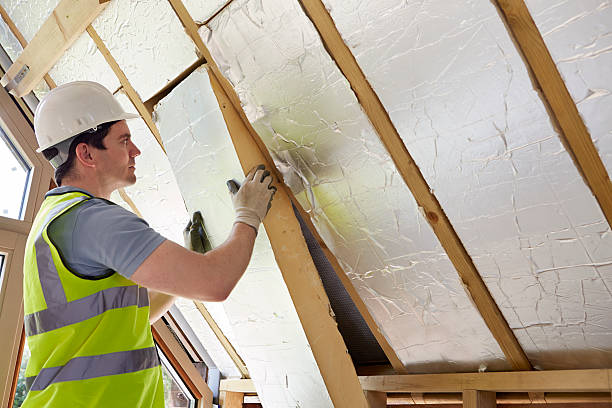 Best Specialty Insulation in Catlin, IL