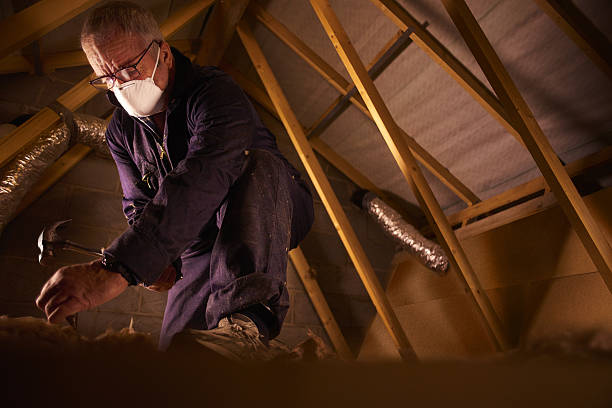 Best Specialty Insulation in Catlin, IL